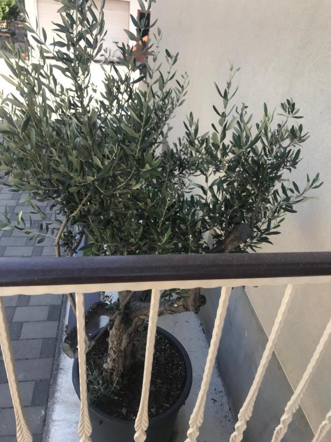 Appartement Novem à Zadar Extérieur photo